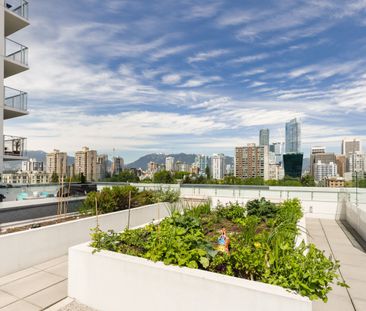 1108 Pendrell Street, Vancouver - Photo 2