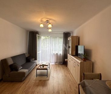 Mieszkanie na wynajem w bloku Mielec - Zdjęcie 5