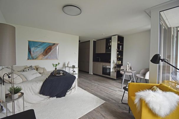 Conger 4.201 - Photo 1