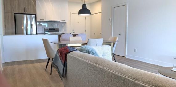 4 1/2 - Montréal (Saint-Michel) - 1 875 $/mois - Photo 2