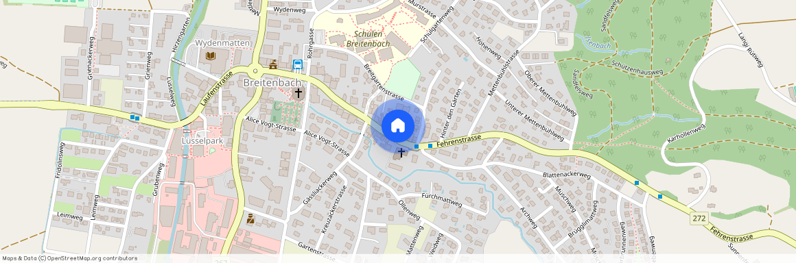 Fehrenstrasse 47, 4226 Breitenbach, Schweiz