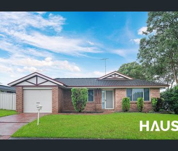 Caddies Creek Catchment - Photo 5