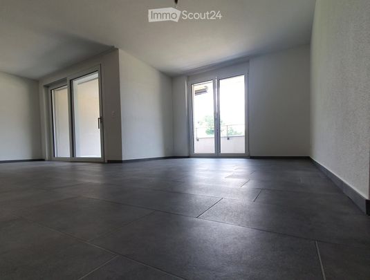 4.5 Zimmer, 120 m² - Photo 1