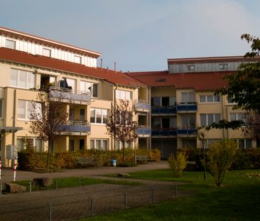 1-Zimmer-Wohnung mit Balkon in Bonn-Neu-Vilich mieten - Photo 3