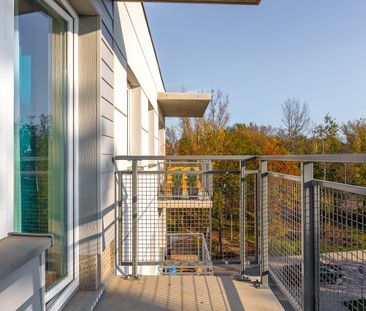 Olimpia Port Vasco Da Gamy 2pokoje 39m2 2250zł - Photo 4