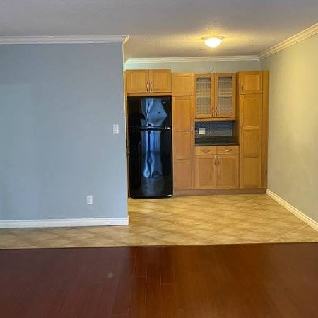 Spacious and Beautiful 1 bed 1 bath - Photo 1