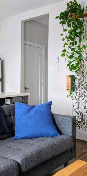 2 CH - 1 SDB - Montréal - $1,615 /mo - Photo 1