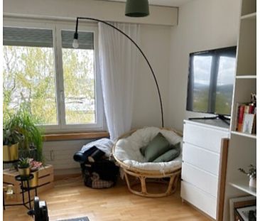 4½ Zimmer-Wohnung in Luzern, möbliert, auf Zeit - Photo 5