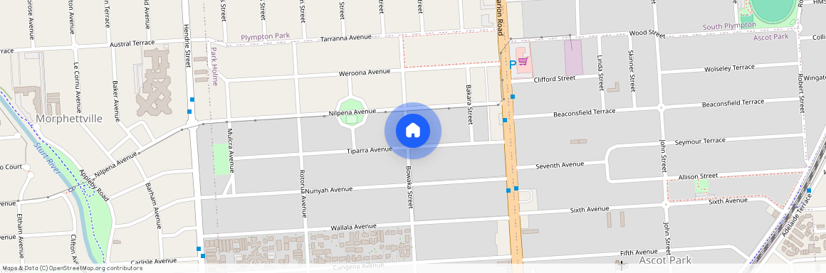 21 Tiparra Ave, Park Holme SA 5043