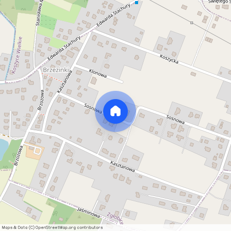 ul. Kasztanowa, Zgłobice, Tarnów, tarnowski, małopolskie