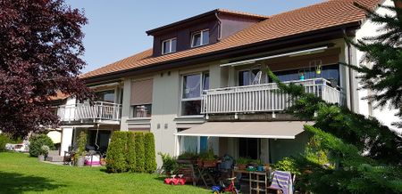 Appartement de 4.5 pièces au rez-de-chaussée avec grande terrasse et jardin - Photo 3