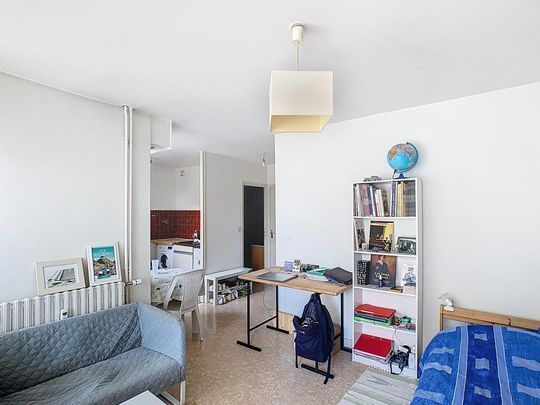 Location Appartement 1 pièce Meublé 29m² ANGERS 49100 - Photo 1
