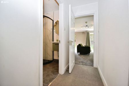 11 Skehanore,South Douglas Road,Cork, Cork City Centre, Co. Cork - Photo 4