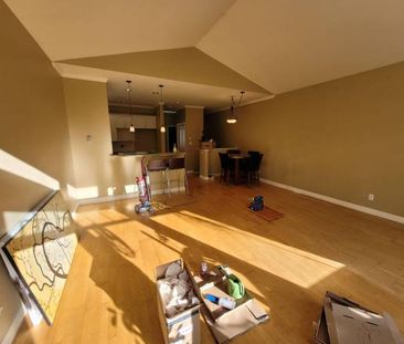 3 bedroom, 2 bathroom suite, available February! - Photo 4