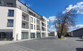 Piła, Zamość - Photo 3