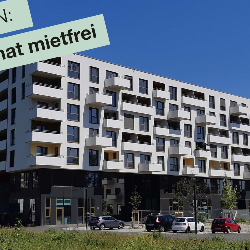 ***HERBSTAKTION 1. MONAT MIETFREI*** 2 ZI-WOHNUNG MIT SÜDLOGGIA IM LETZTEN OG IM NEUEN REININGHAUS - Foto 1