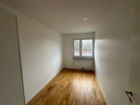 Bangatan 1B – 4rok (lgh 1109) - Photo 3