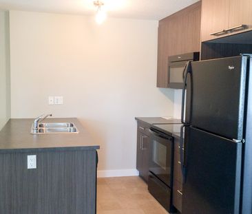 Bright & Spacious 2 Bedroom Apartment In Chestermere’s Lake Community. - Photo 4