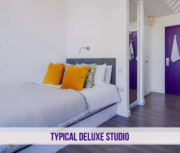 Deluxe Studio - Photo 4