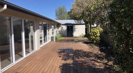 Spacious Family Living in Prime Ilam Location - Photo 3