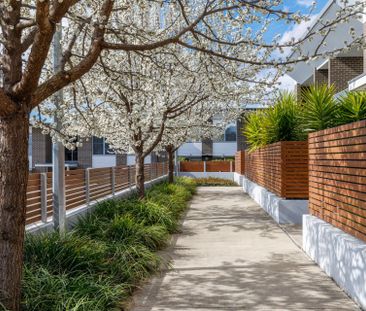 55/47-49 Mowatt Street, Queanbeyan - Photo 5