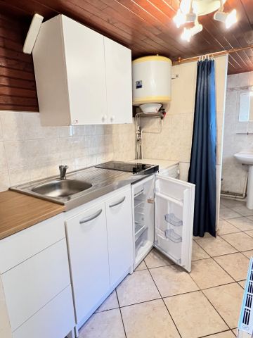 Location Appartement 1 pièce 17m² GRENOBLE 38000 - Photo 2