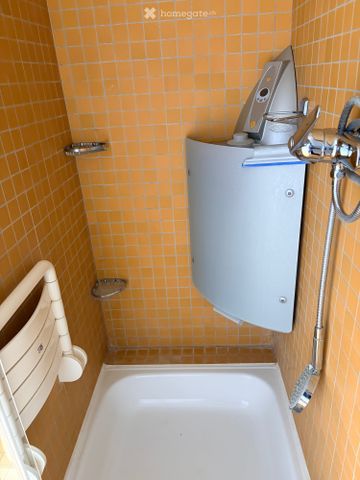Eckhaus (Reiheneinfamilienhaus) mit grossem Garten in Dielsdorf - Photo 5