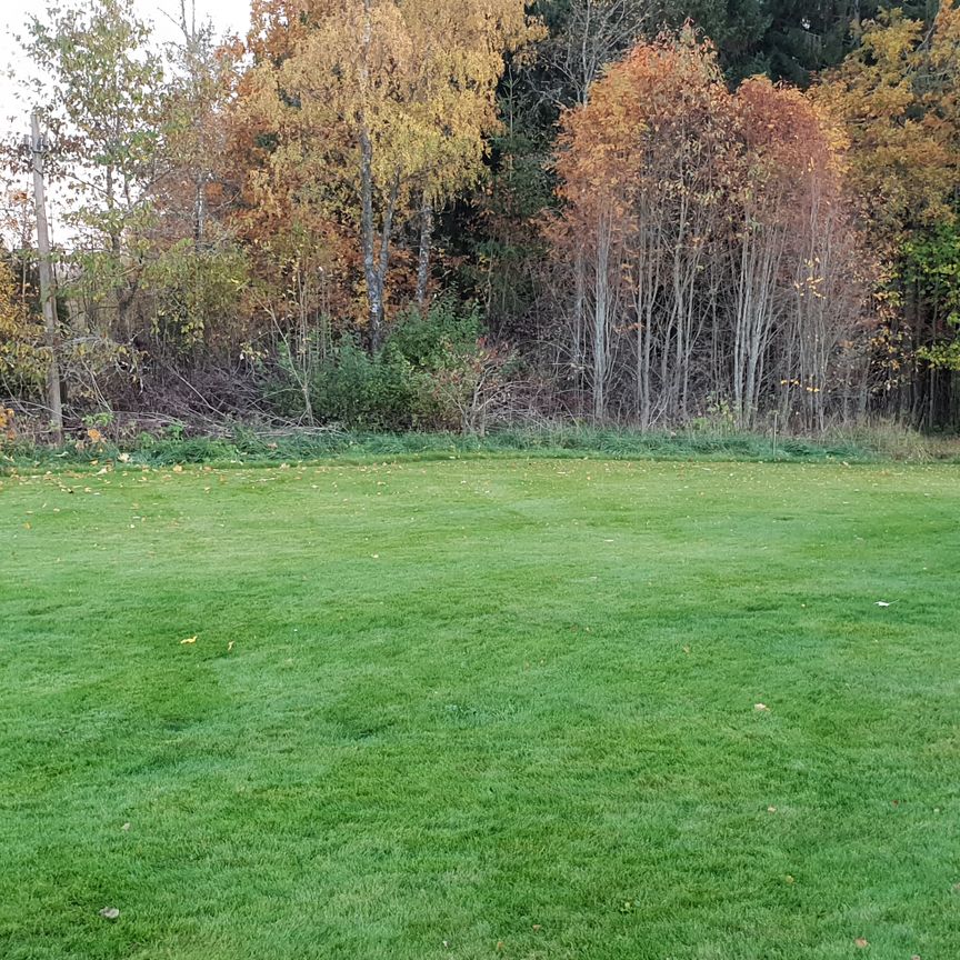 Kårestad Högstorp, Furuby - Foto 1