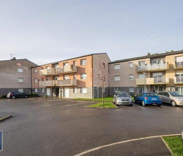 Location Appartement 2 pièces 44m² DENAIN 59220 - Photo 3