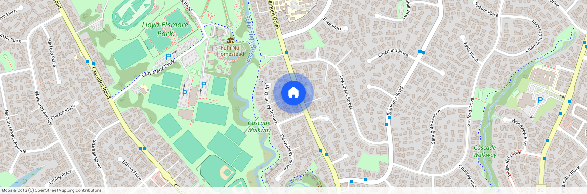 119 Aviemore Drive, Highland Park, Manukau City