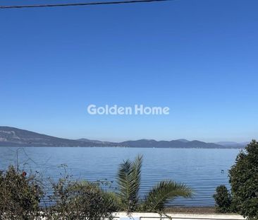 Μονοκατοικία για ενοικίαση Αρκίτσα (Δαφνούσες) - Φωτογραφία 4