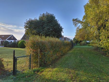 Fridhemsgatan, Borrby - Foto 3