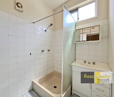 46 Havelock Street, Mayfield - Photo 6