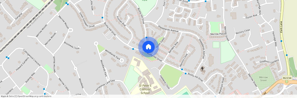 Bushy Hill Drive, Guildford, Surrey, GU1