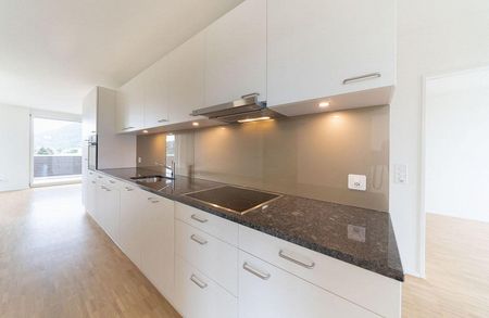 4.5-Zimmer-Wohnung in der Bassbelt-Siedlung - Photo 5