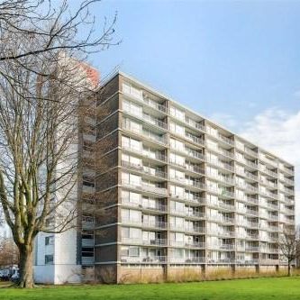 Antwerpenstraat, 4826 Breda, Nederland - Photo 1