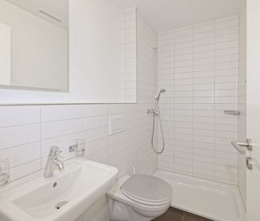 Rent a 4 ½ rooms apartment in Zeihen - Foto 3