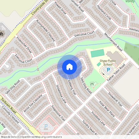 45 Iceberg Trail, Brampton