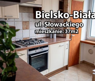 Mieszkanie na wynajem Bielsko-Biała, Centrum, Juliusza Słowackiego ... - Photo 3