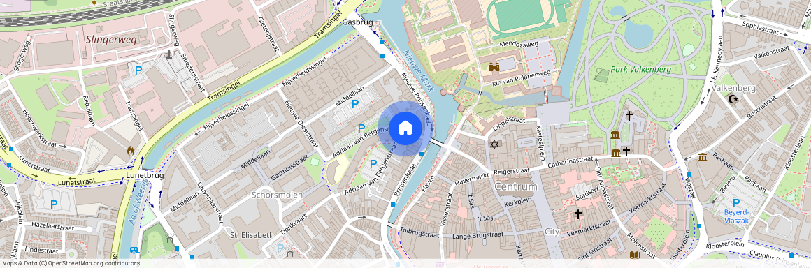 Adriaan van Bergenstraat, 4811 SP Breda