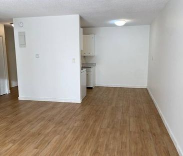 $1600 NEWLY RENOVATED 1BR APARTMENT - Photo 2