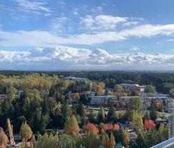 Central location - Surrey City Centre Two-bedroom high-rise apartment - Photo 3