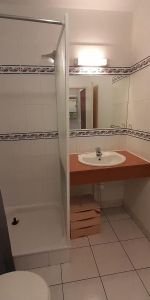 Location Appartement 1 pièce 20m² NANTES 44000 - Photo 3