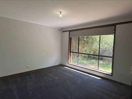 Toongabbie Delight - Photo 5