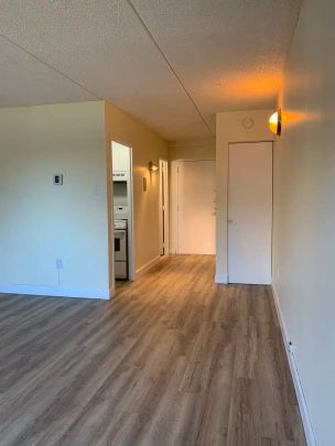 1300 Boulevard de la Côte-Vertu — 2 ½ - Photo 1