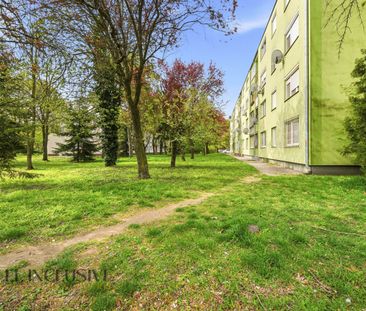 ALL INCLUSIVE | Na prenájom 1-izbový byt s pivnicou v Dunajskej Streda - Photo 5