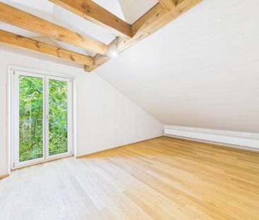 Sehr grosszügige, lichtdurchflutete, frisch renovierte Dachwohnung - Foto 6