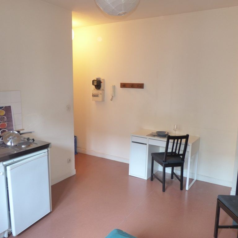 Location Appartement 1 pièce 17m² GRENOBLE 38000 - Photo 1