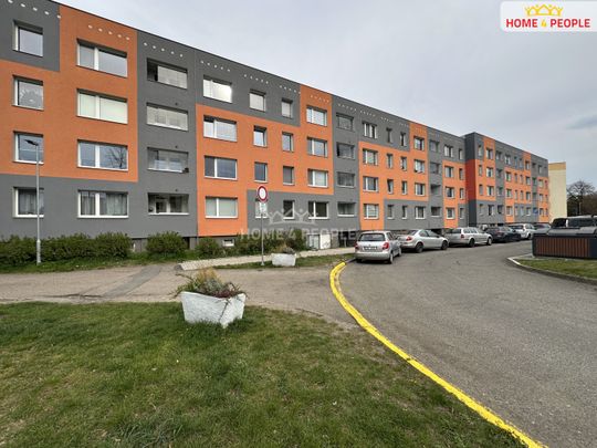 Pronájem bytu 3+1 72 m² - Photo 1