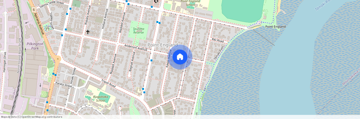 51 Anderson Avenue, Point England, Auckland City